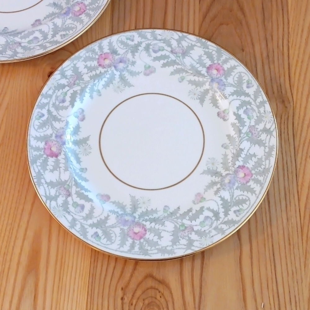 Paragon Fine Bone China dinner plates set of 2 Glen Ayn